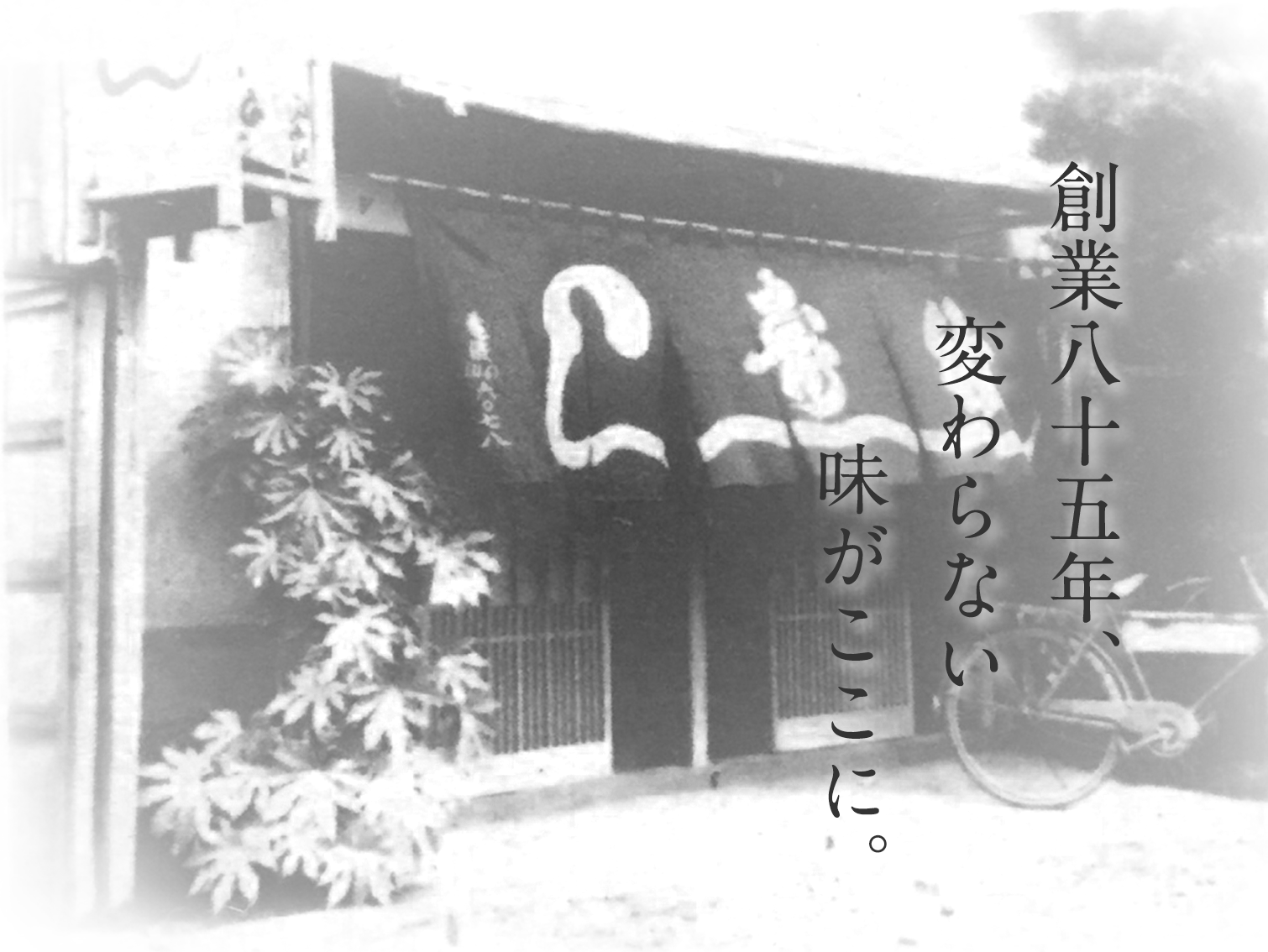 Since 1933, The quality remains